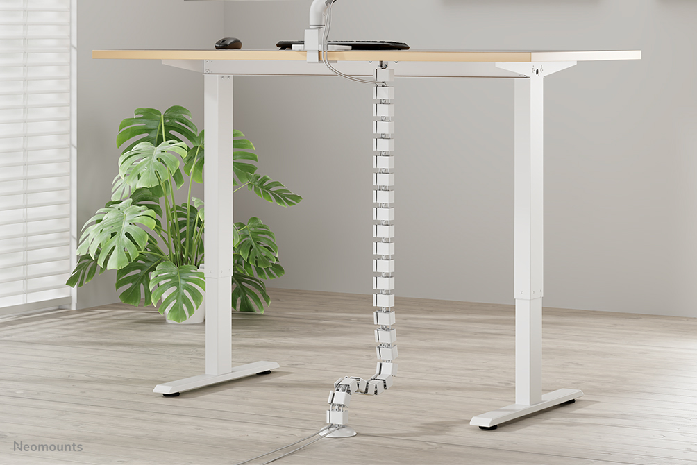 Neomounts ADS06-130WH Colonne vertébrale - fixation à vis - universel